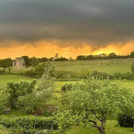 Kingfisher Scarborough