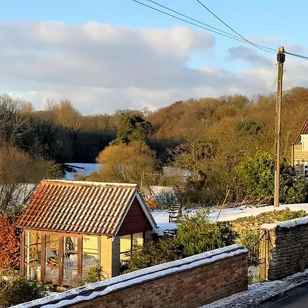 Kingfisher * Scarborough