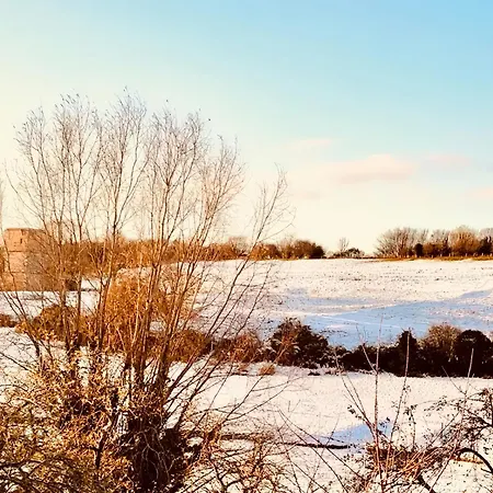 Kingfisher Scarborough