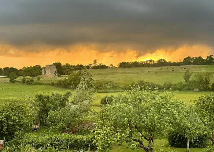 Kingfisher Scarborough