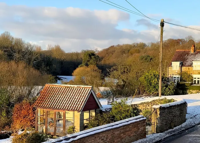 Kingfisher * Scarborough