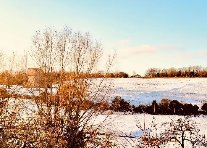 Kingfisher Scarborough